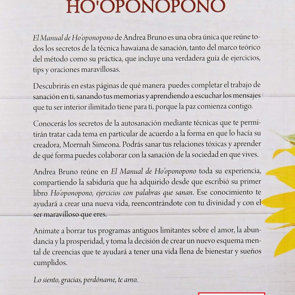 TOP10BOOKS - LIBRO El Manual De Ho'oponopono - Andrea Bruno