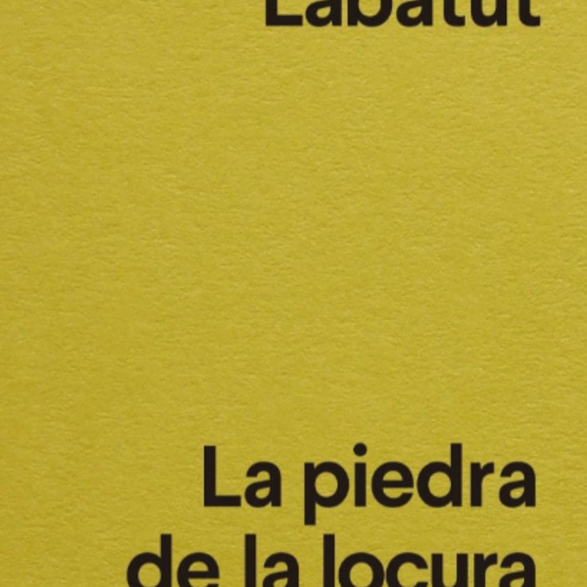 TOP10BOOKS - LIBRO La Piedra De La Locura - La Piedra De La Locura