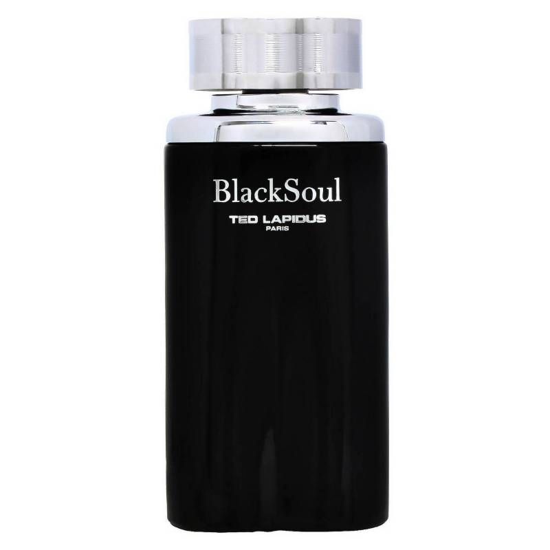 TED LAPIDUS - PERFUME TED LAPIDUS BLACK SOUL 100 ML EDT