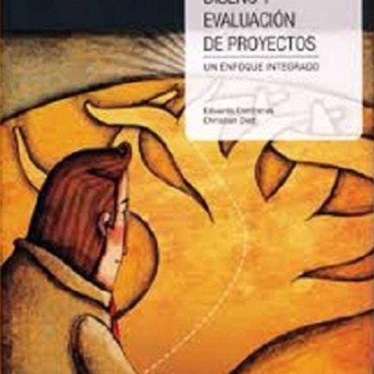 TOP10BOOKS - LIBRO Diseño Y Evaluación De Proyectos