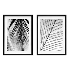 PAPEL ILUSTRADO - Set 2 Cuadros Feathers 40x50 Marco Negro