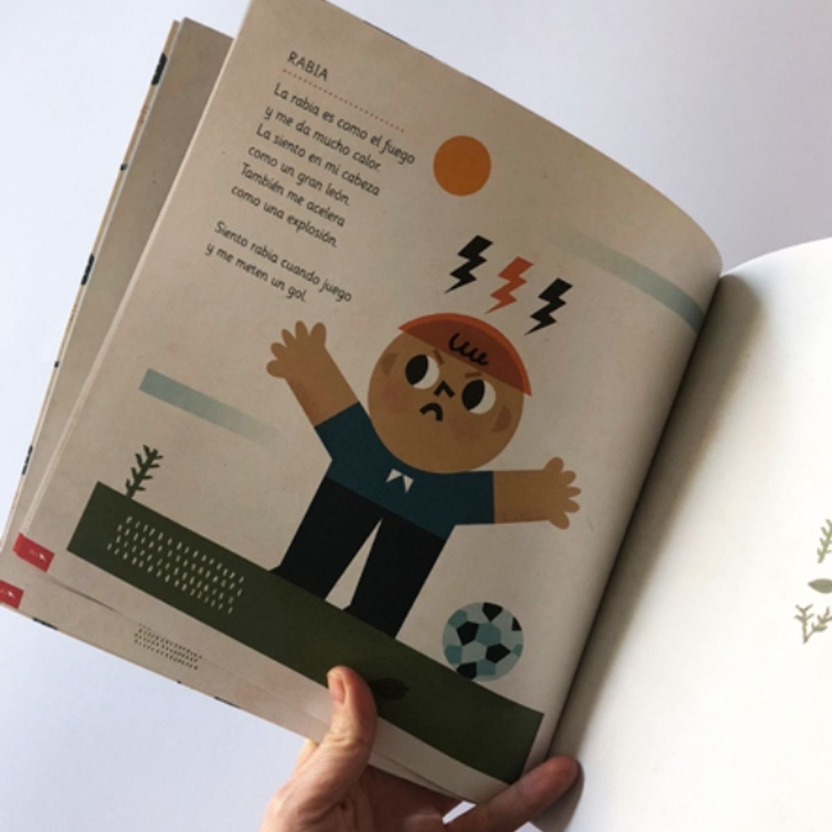 TOP10BOOKS - LIBRO Corazon De Melon - Joyce Courbis