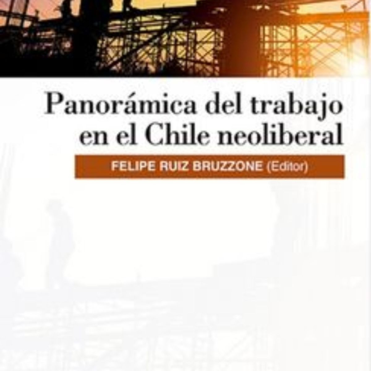 TOP10BOOKS - LIBRO Libro Panorámica Del Trabajo En El Chile Neoliberal