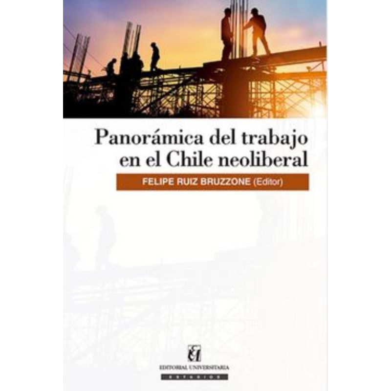 TOP10BOOKS - Libro Panoramica Del Trabajo En El Chile Neoliberal -261-