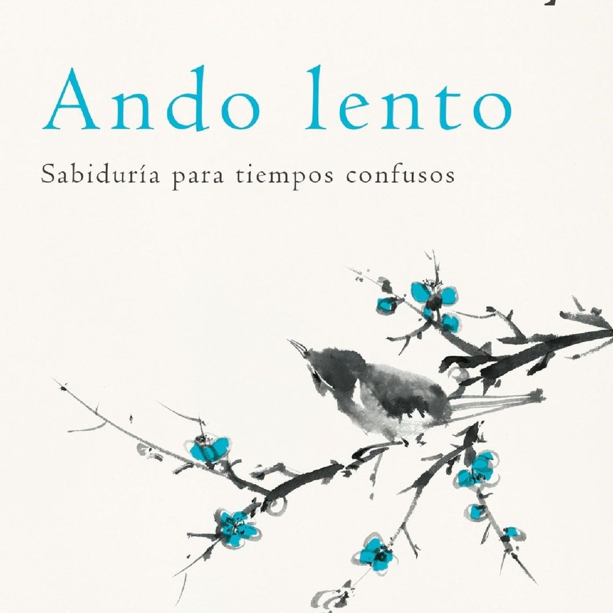 TOP10BOOKS - LIBRO Ando Lento - Ando Lento