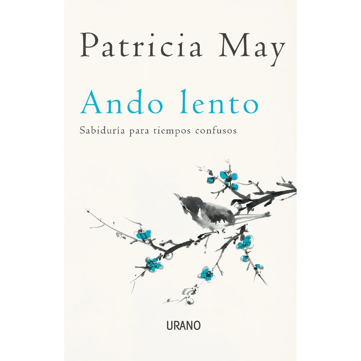 TOP10BOOKS - LIBRO Ando Lento - Ando Lento