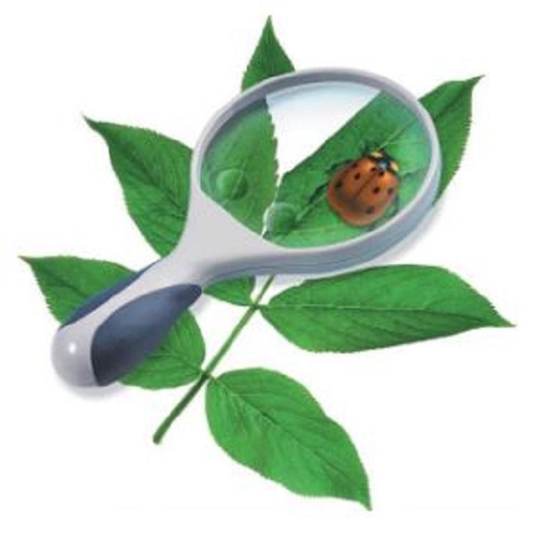 SEIGARD - Lupa 2X. 3X . 4X  100mm MG234 Color Blanco