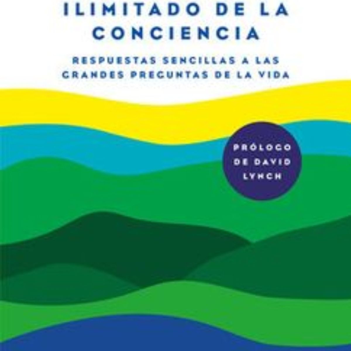 TOP10BOOKS - LIBRO Un Oceano Ilimitado De La Conciencia