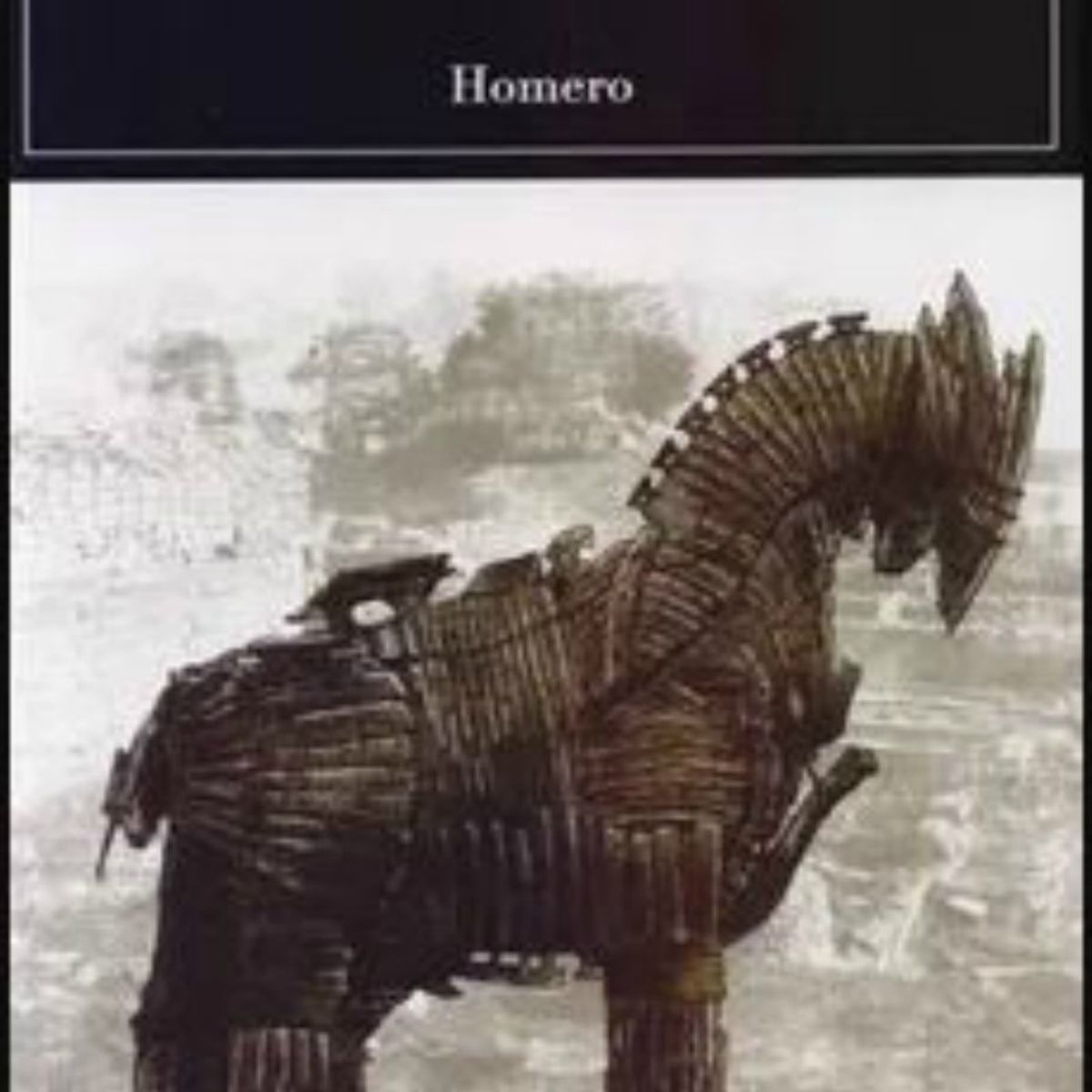 TOP10BOOKS - LIBRO Ilíada - Ilíada