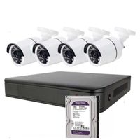 Kit Cctv 4 Cámaras Seguridad + Disco Duro 1 Terabyte Instalado en DVR HD 720P
