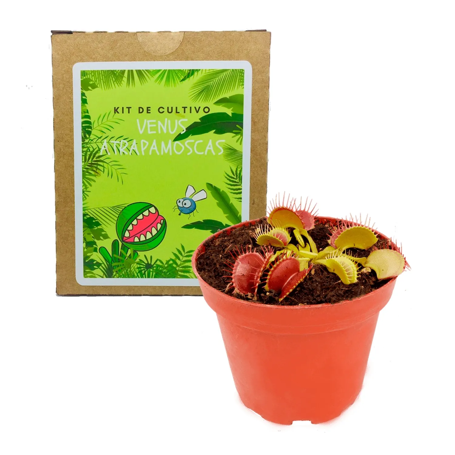 Kit Cultivo Venus Atrapamoscas Planta Carnívora | Sodimac Chile