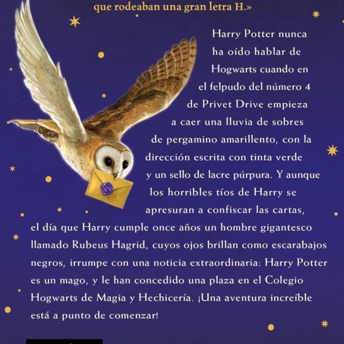 TOP10BOOKS - LIBRO Harry Potter Y La Piedra Filosofal - J. K. Rowling