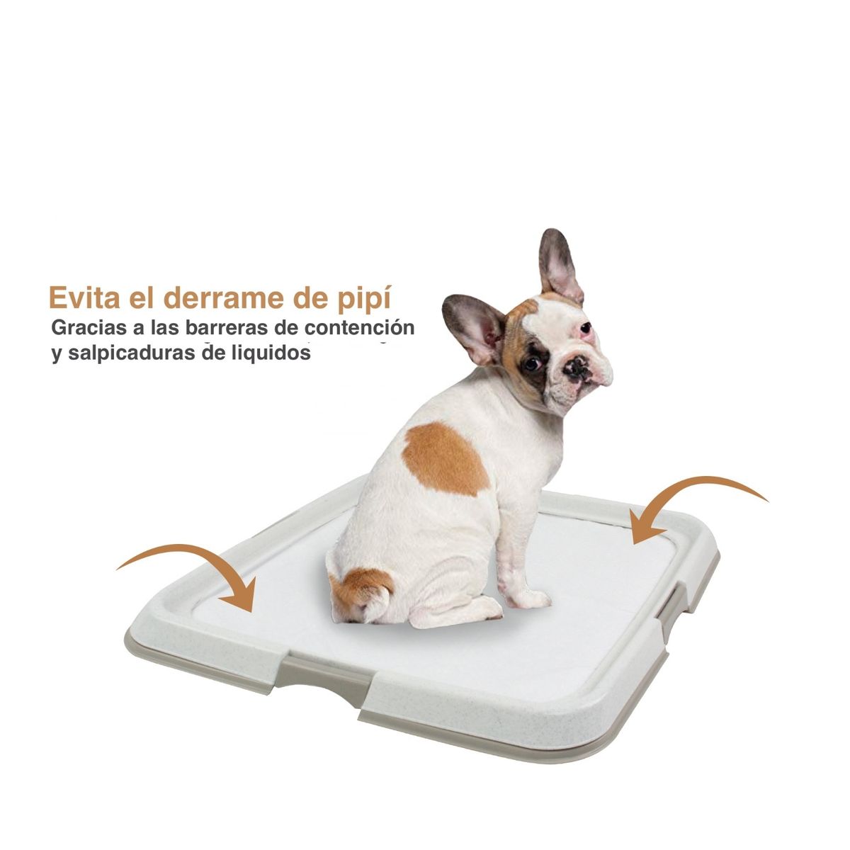 SLOARAPETS - Base Porta Sabanillas De Entrenamiento 60 x 60