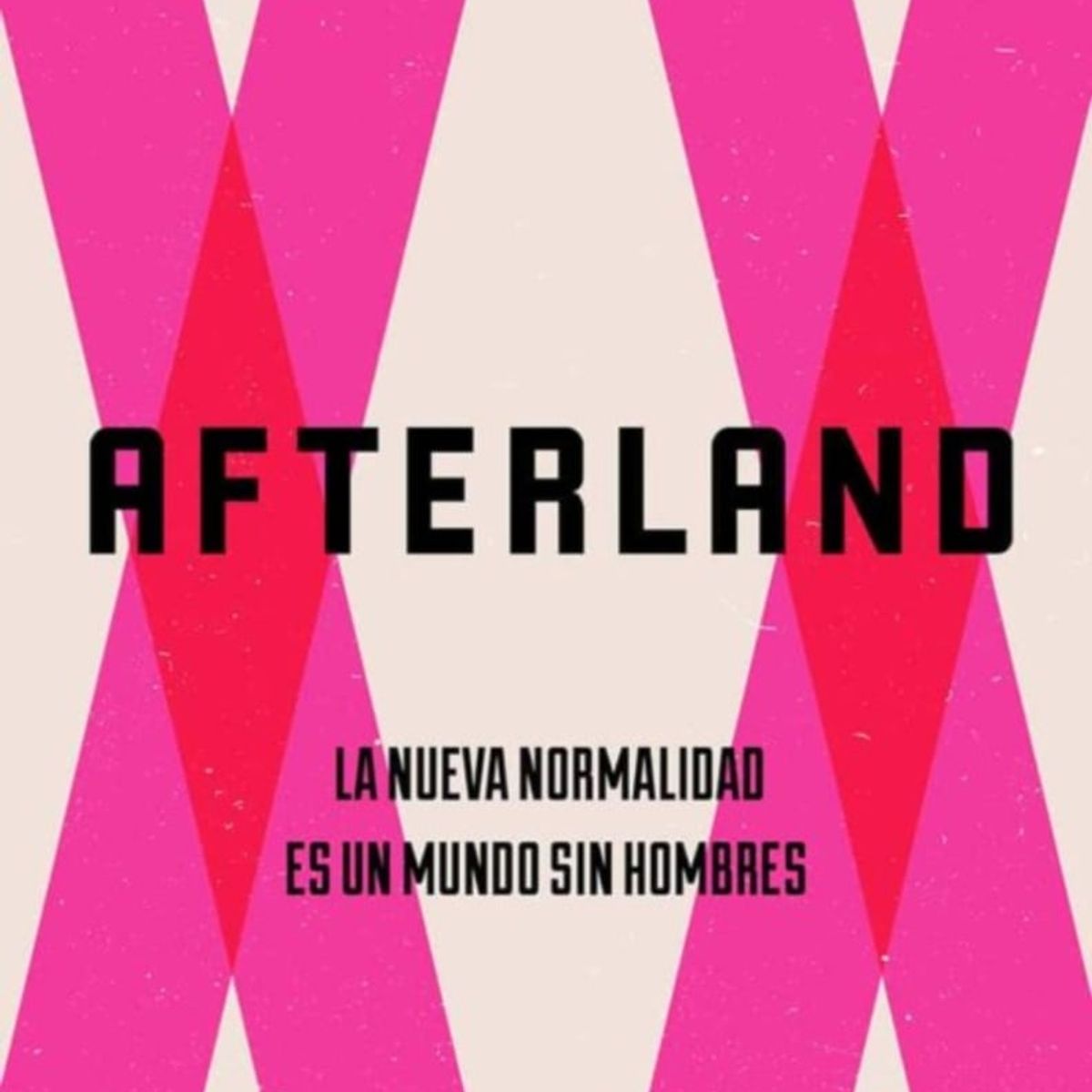 TOP10BOOKS - LIBRO Libro Afterland - Libro Afterland