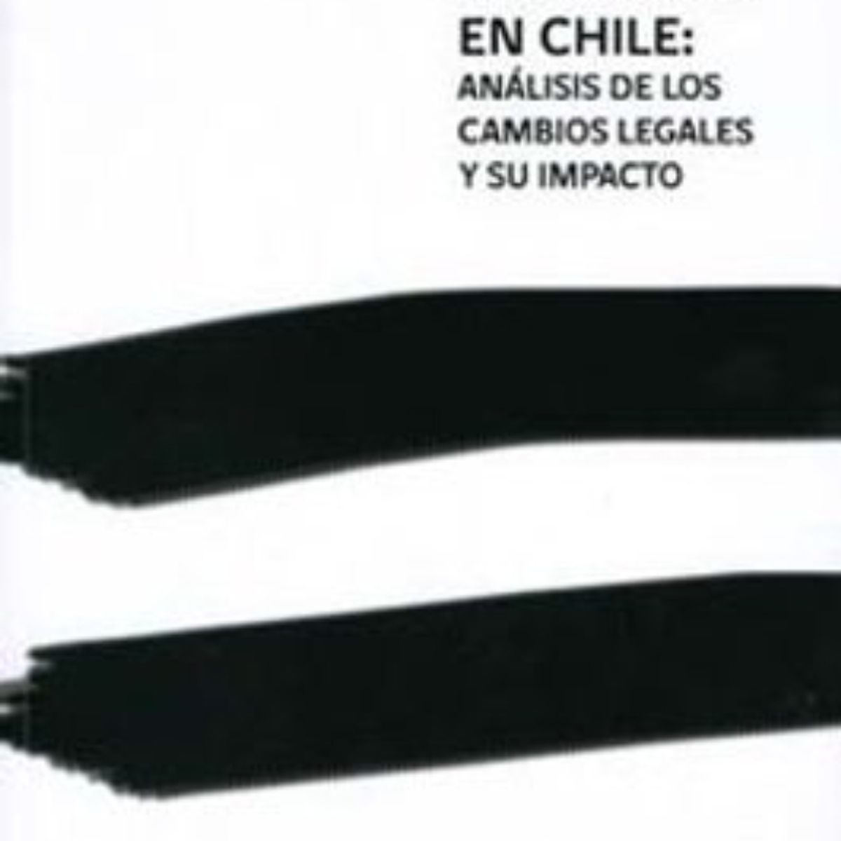 TOP10BOOKS - LIBRO La Prisión Preventiva En Chile - La Prisión Preventiva En Chile