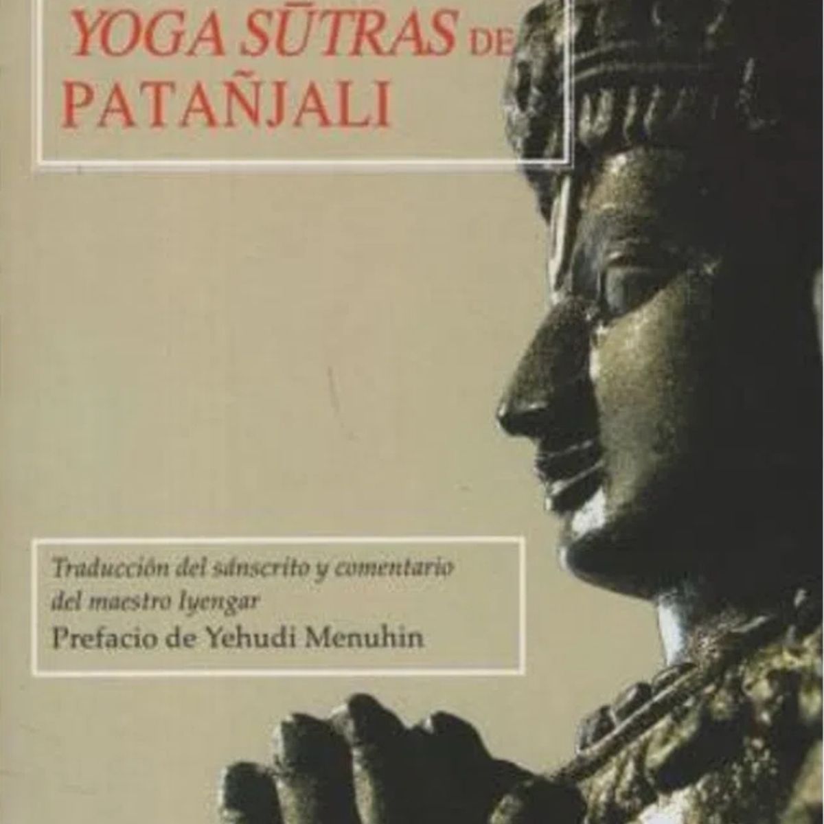 TOP10BOOKS - LIBRO Luz Sobre Los Yogas Sutras De Patanjali