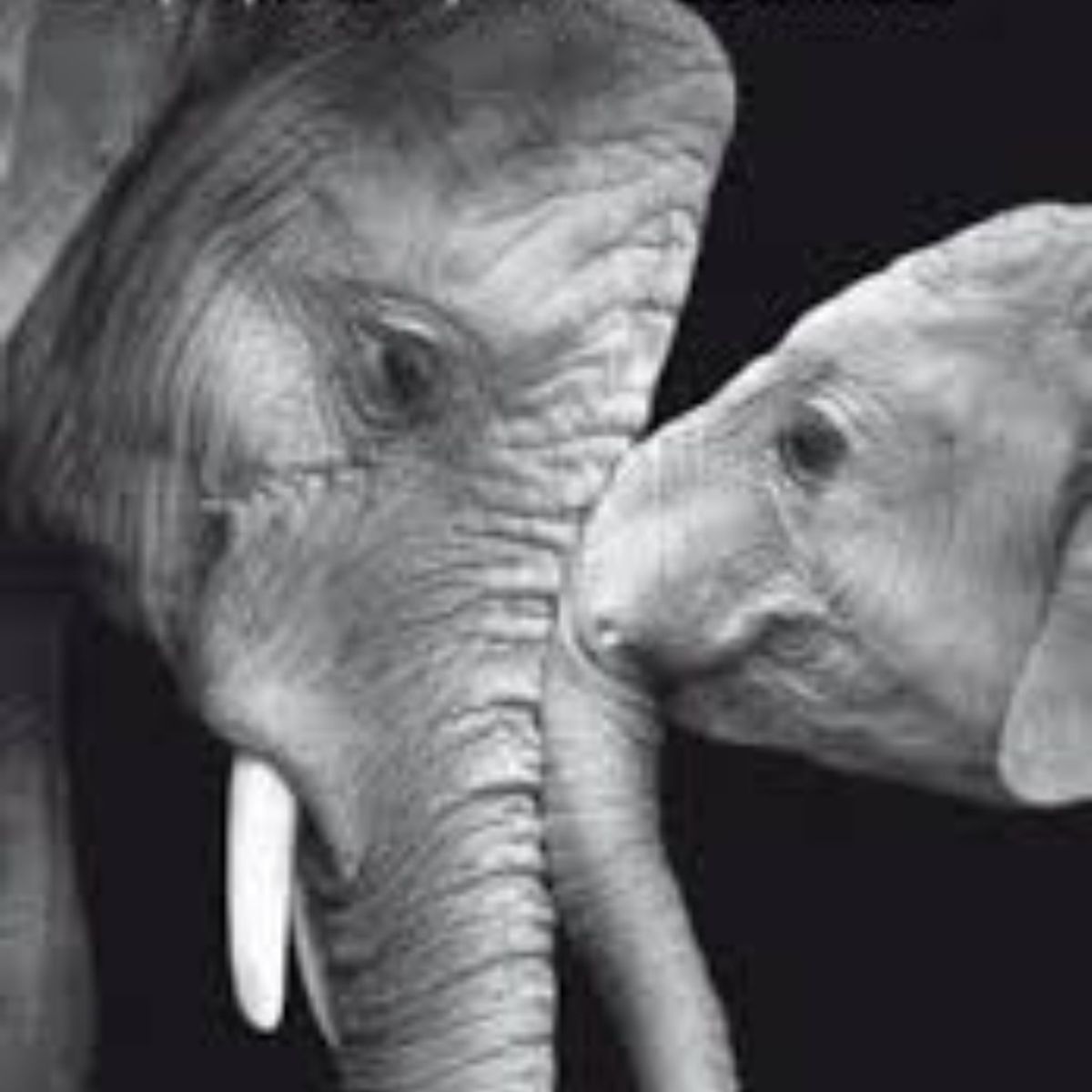 TOP10BOOKS - Libro Mentes Maravillosas -746-