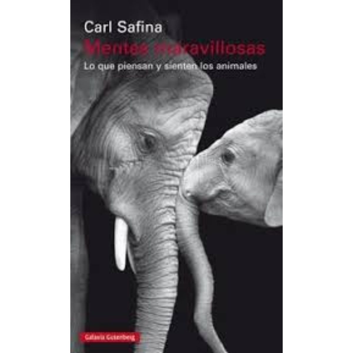 TOP10BOOKS - Libro Mentes Maravillosas -746-