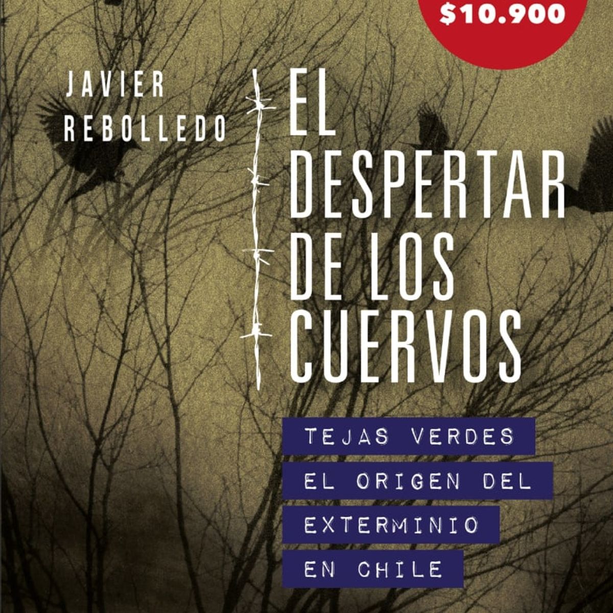 TOP10BOOKS - LIBRO El Despertar De Los Cuervos - El Despertar De Los Cuervos