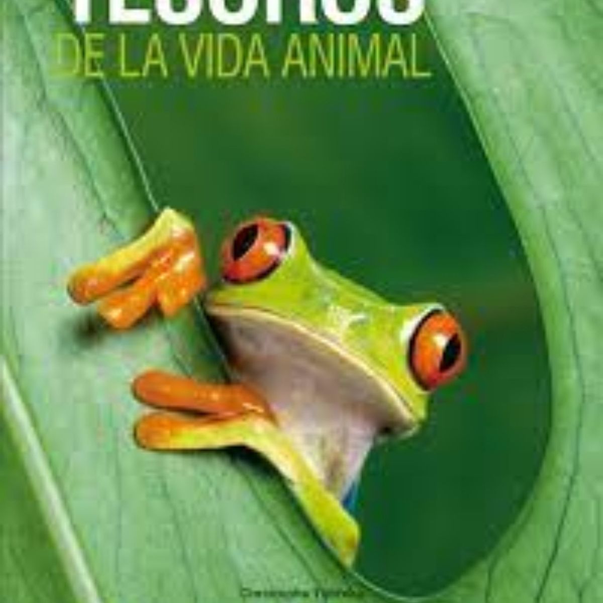 TOP10BOOKS - LIBRO Tesoros De La Vida Animal - Tesoros De La Vida Animal