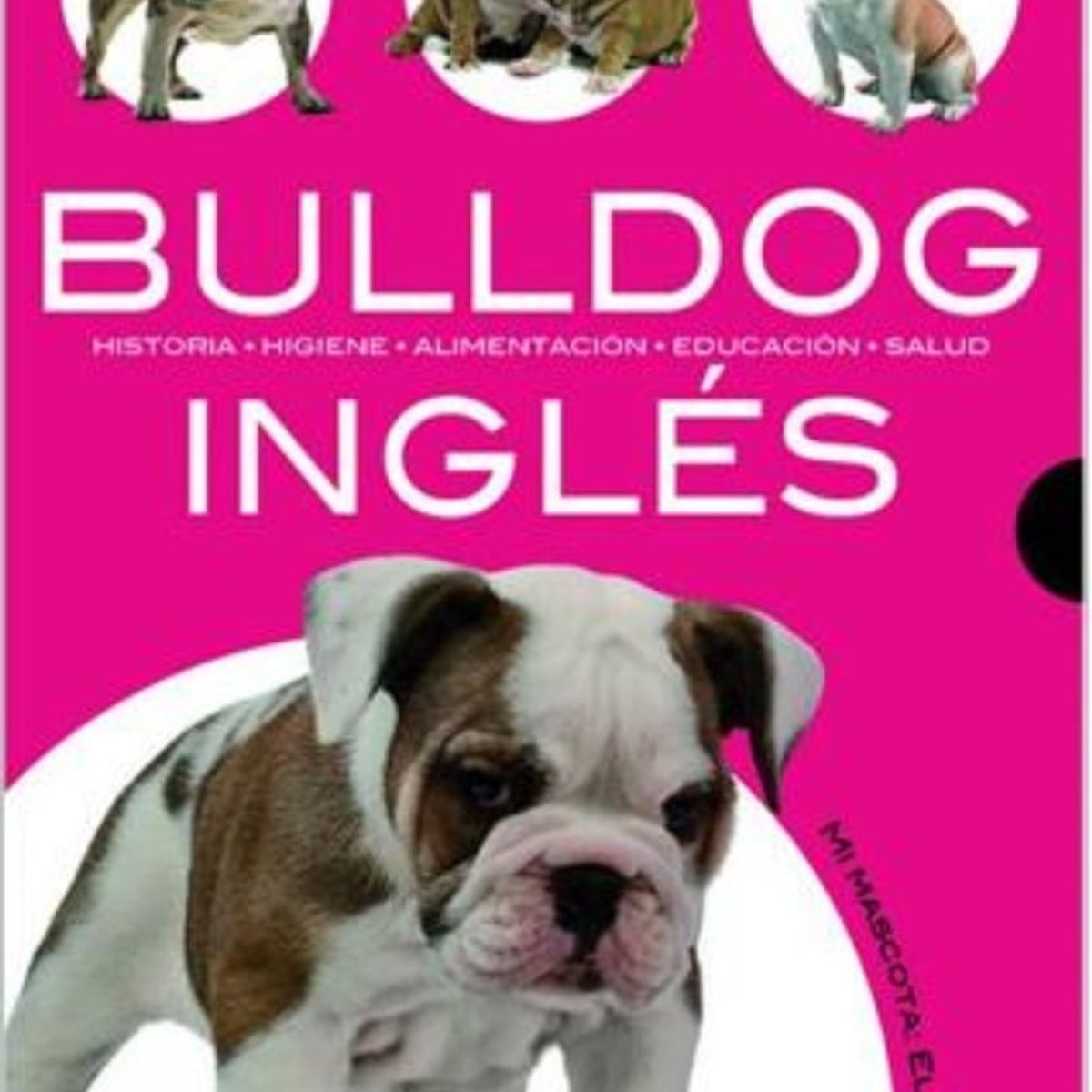 TOP10BOOKS - LIBRO Bulldog Ingles - Bulldog Ingles