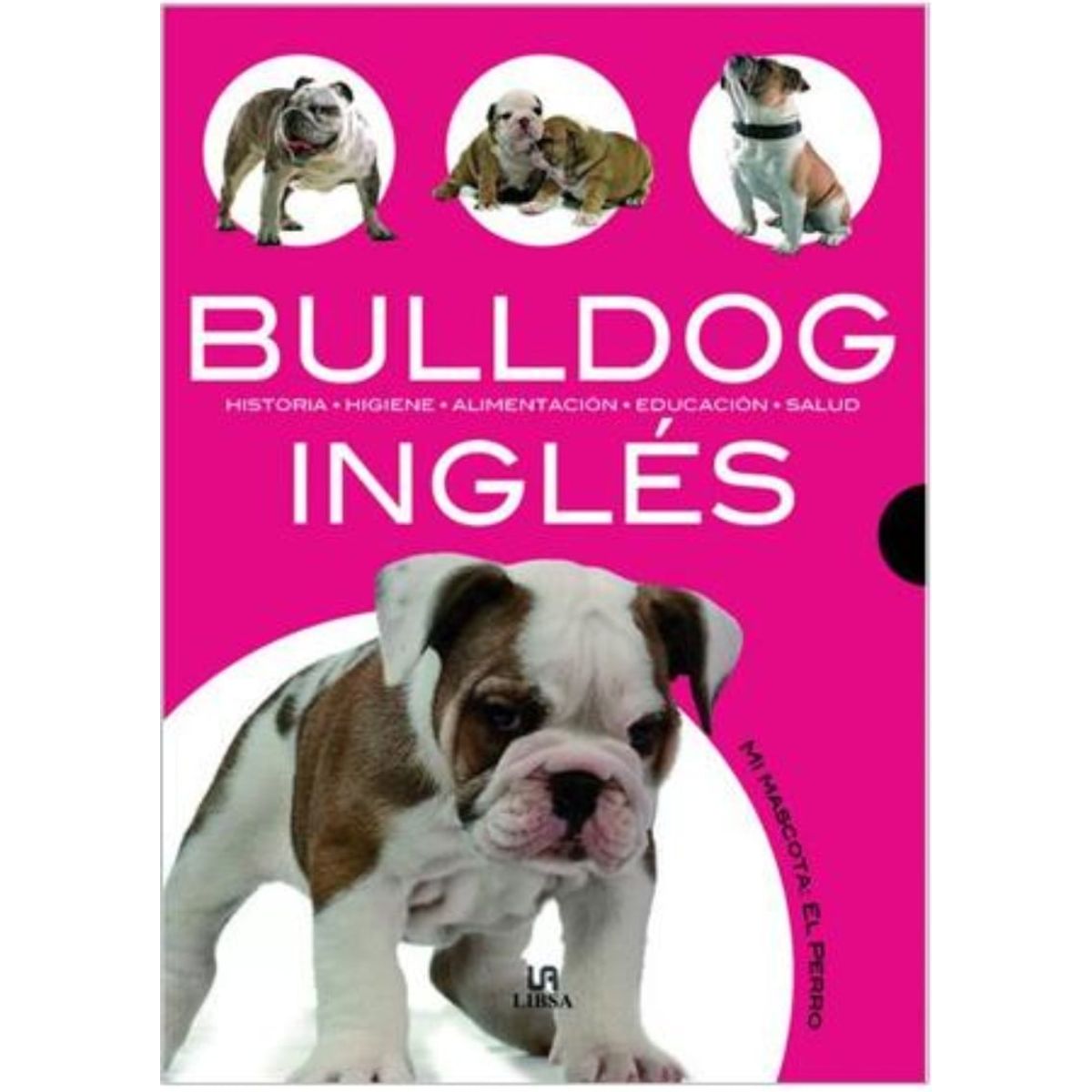 TOP10BOOKS - LIBRO Bulldog Ingles - Bulldog Ingles