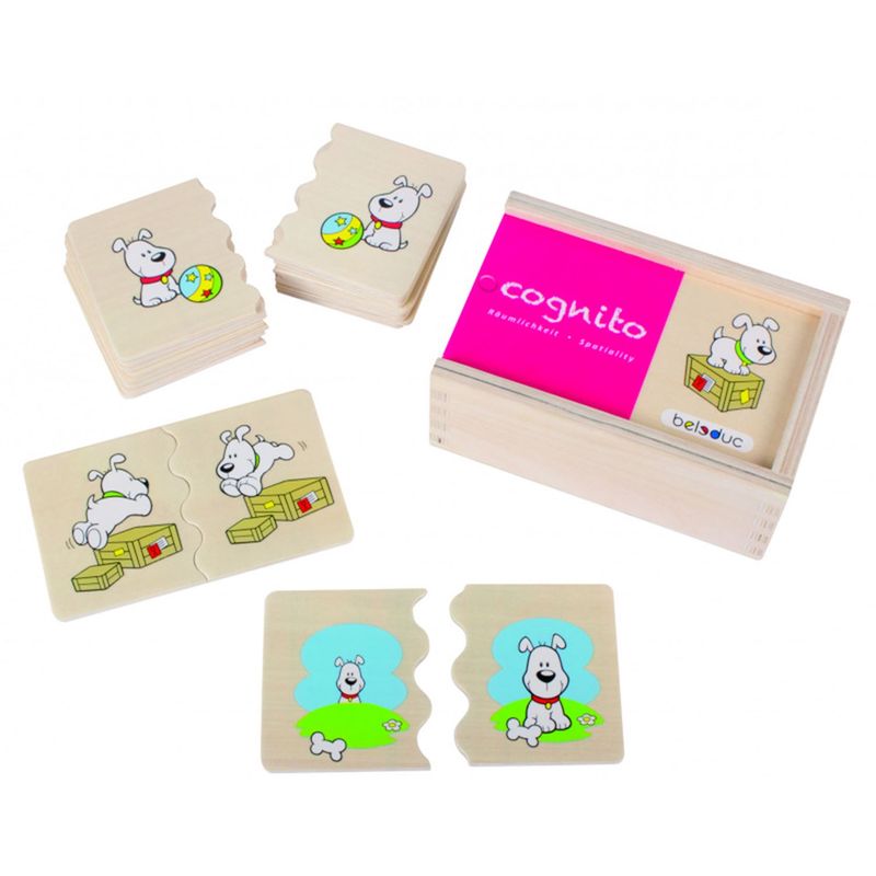 SEIGARD - Set De Tarjetas Cognito Espacialidad 11530 Color Beige