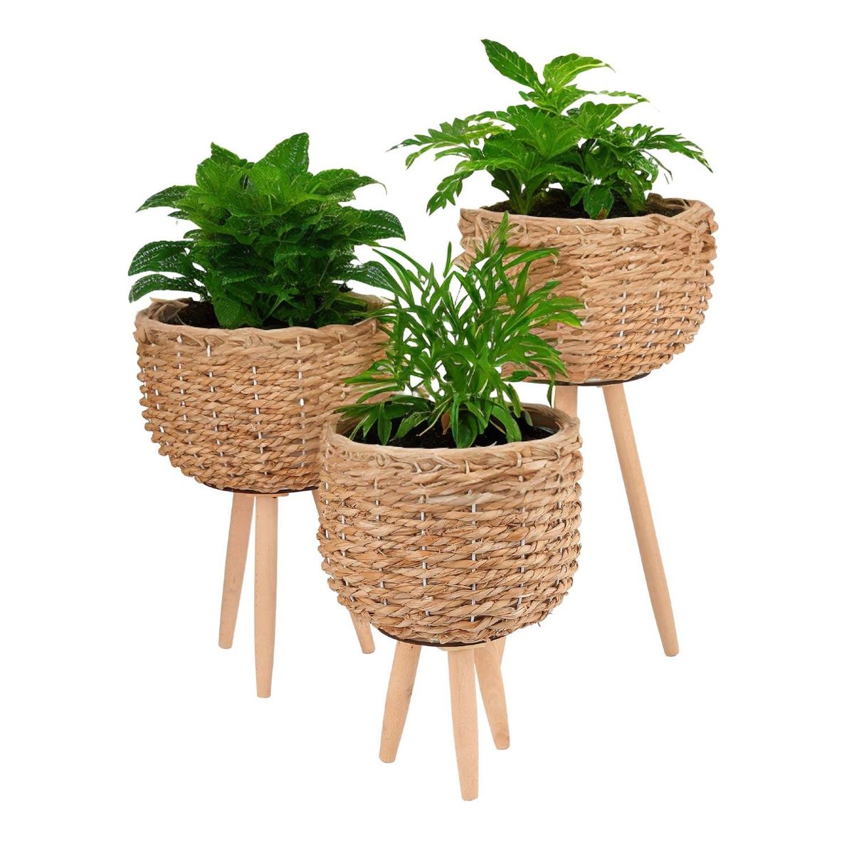 HOME ESSENTIALS - Set de 3 macetas tejidas con patas