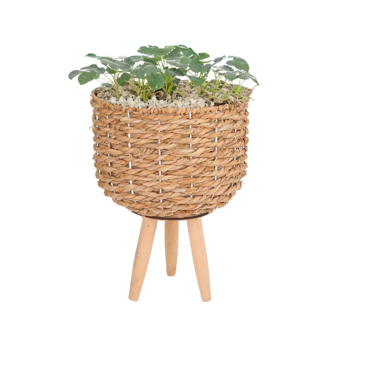 HOME ESSENTIALS - Set de 3 macetas tejidas con patas