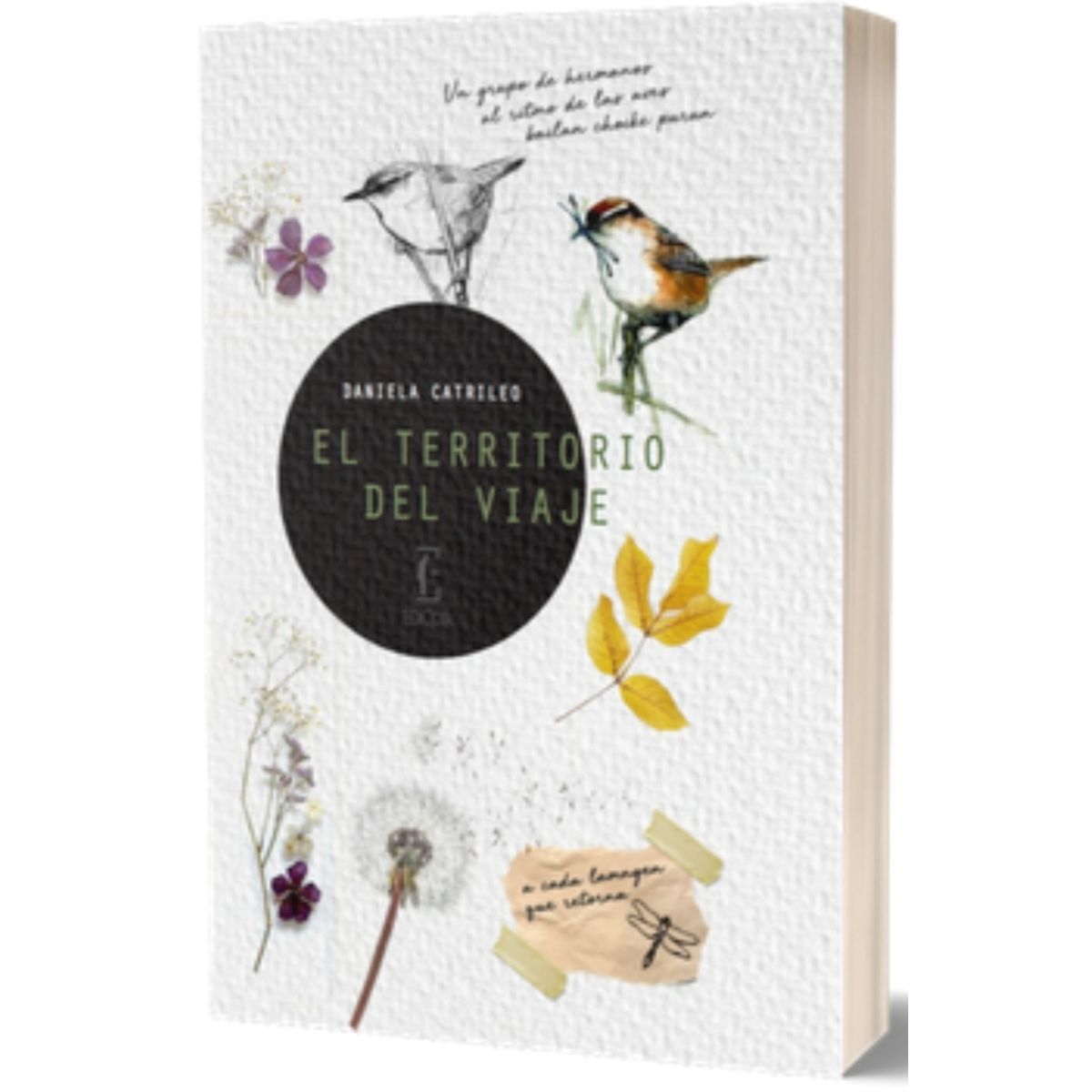 TOP10BOOKS - LIBRO El Territorio Del Viaje - EL TERRITORIO DEL VIAJE