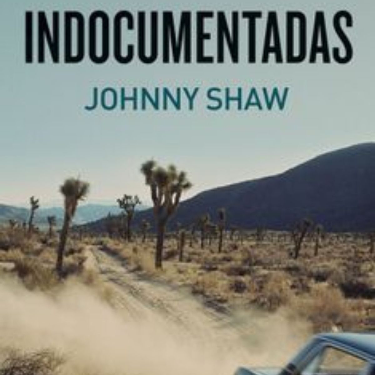 TOP10BOOKS - LIBRO Indocumentadas - Indocumentadas