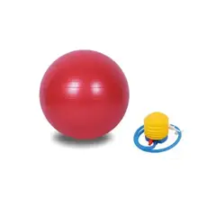 ESHOPANGIE - Pelota Balón Pilates 65cm Fitball + 1 Inflador