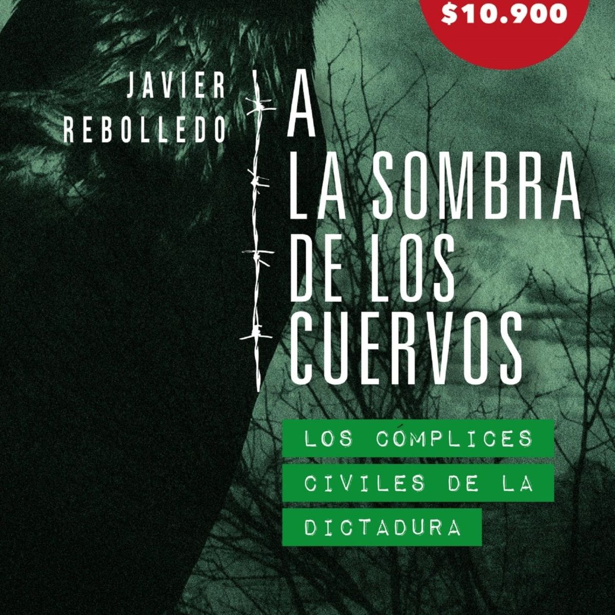 TOP10BOOKS - LIBRO A La Sombra De Los Cuervos - A La Sombra De Los Cuervos