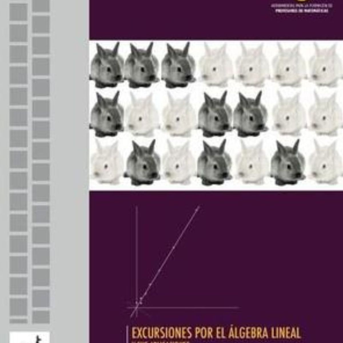 TOP10BOOKS - LIBRO Excursiones Por El Álgebra Lineal - Excursiones Por El Álgebra Lineal