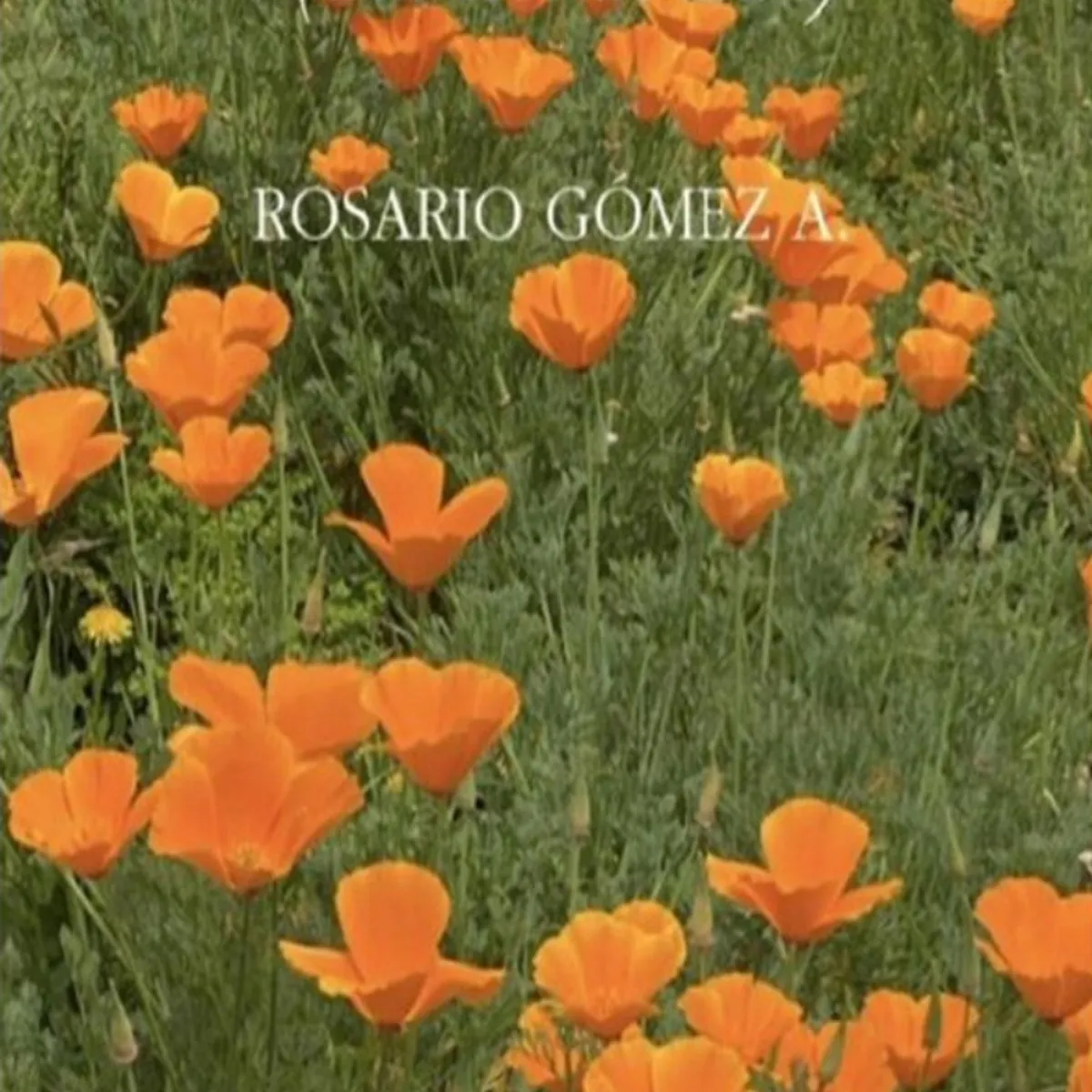 TOP10BOOKS - LIBRO Cuentos Con Alma Vi - ROSARIO GOMEZ