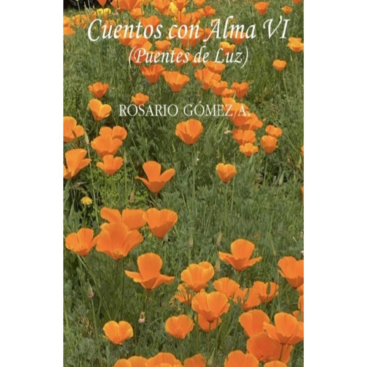 TOP10BOOKS - LIBRO Cuentos Con Alma Vi - ROSARIO GOMEZ