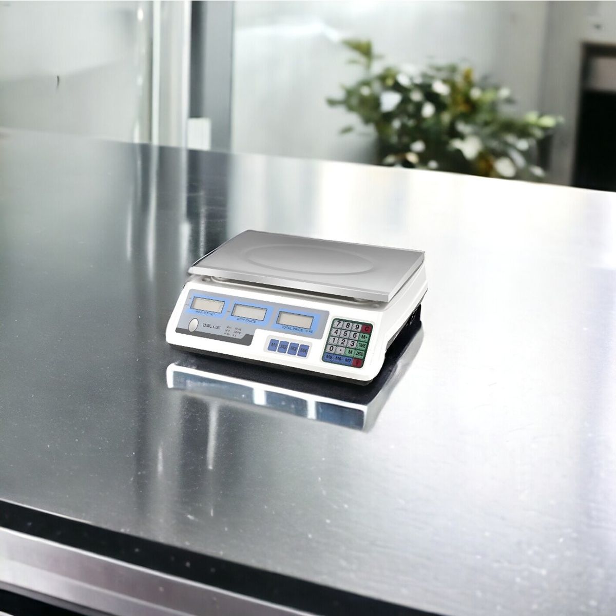 DBLUE - Pesa Balanza Digital de Almacén Recargable 30 KG Inoxidable