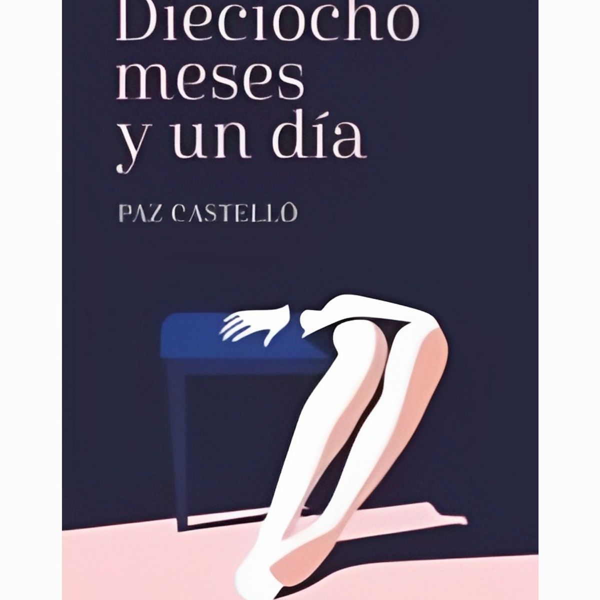 TOP10BOOKS - LIBRO Dieciocho Meses Y Un Día - Dieciocho Meses Y Un Día
