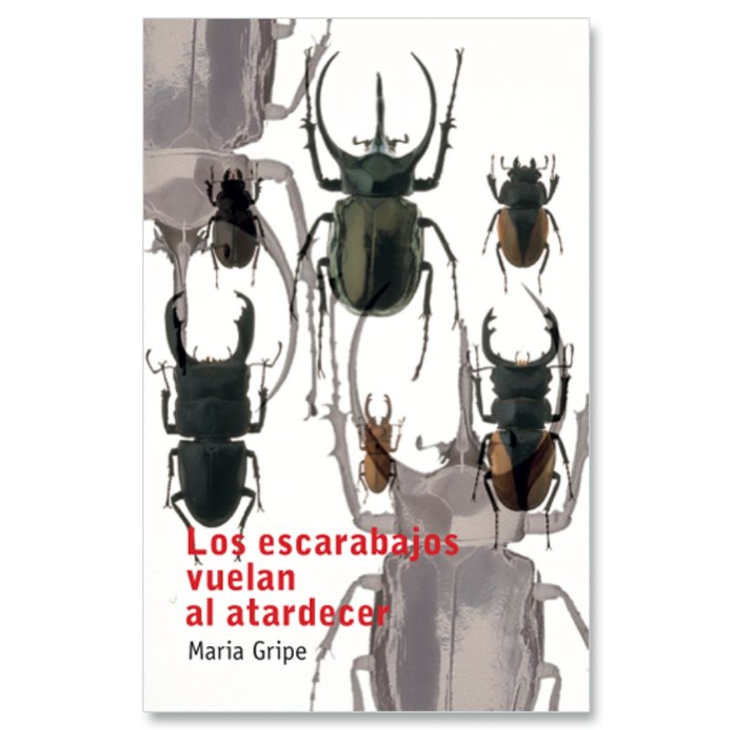 TOP10BOOKS - Libro LOS ESCARABAJOS VUELAN AL ATARDECER