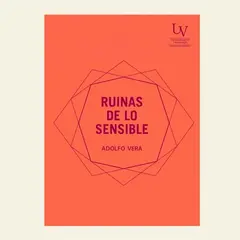 TOP10BOOKS - LIBRO Ruinas De Lo Sensible - Ruinas De Lo Sensible