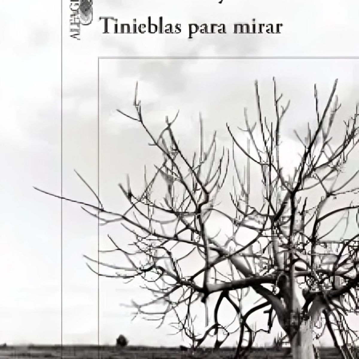 TOP10BOOKS - LIBRO Tinieblas Para Mirar - Tinieblas Para Mirar