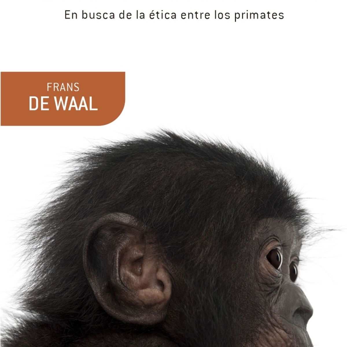 TOP10BOOKS - Libro El Bonobo Y Los Diez Mandamientos -959-