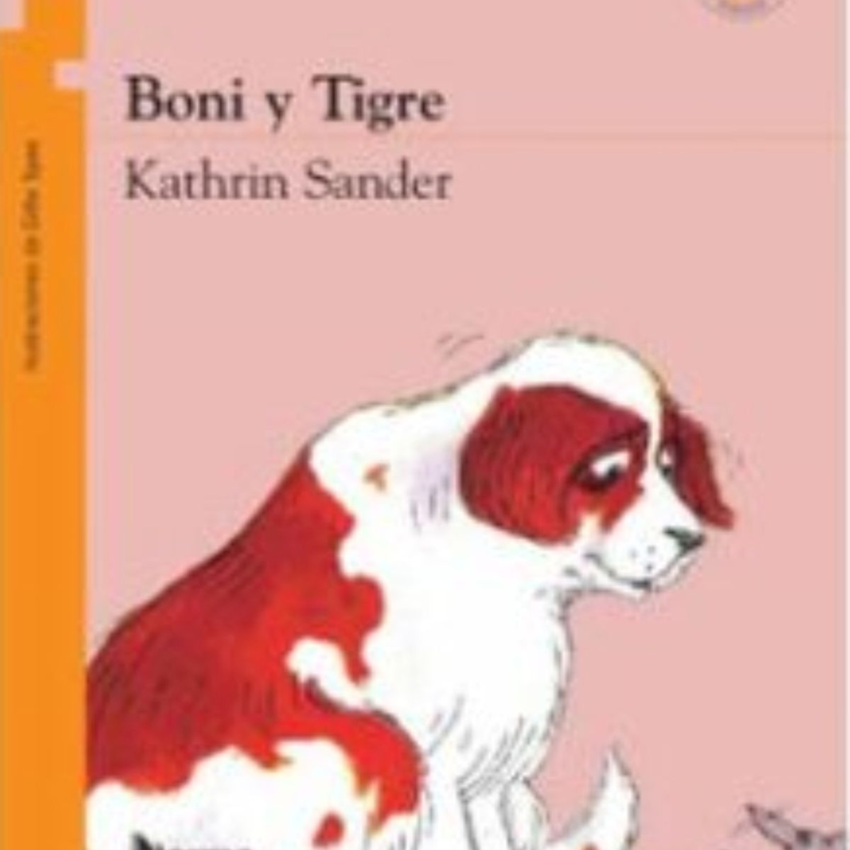 TOP10BOOKS - LIBRO Boni Y Tigre - Boni Y Tigre