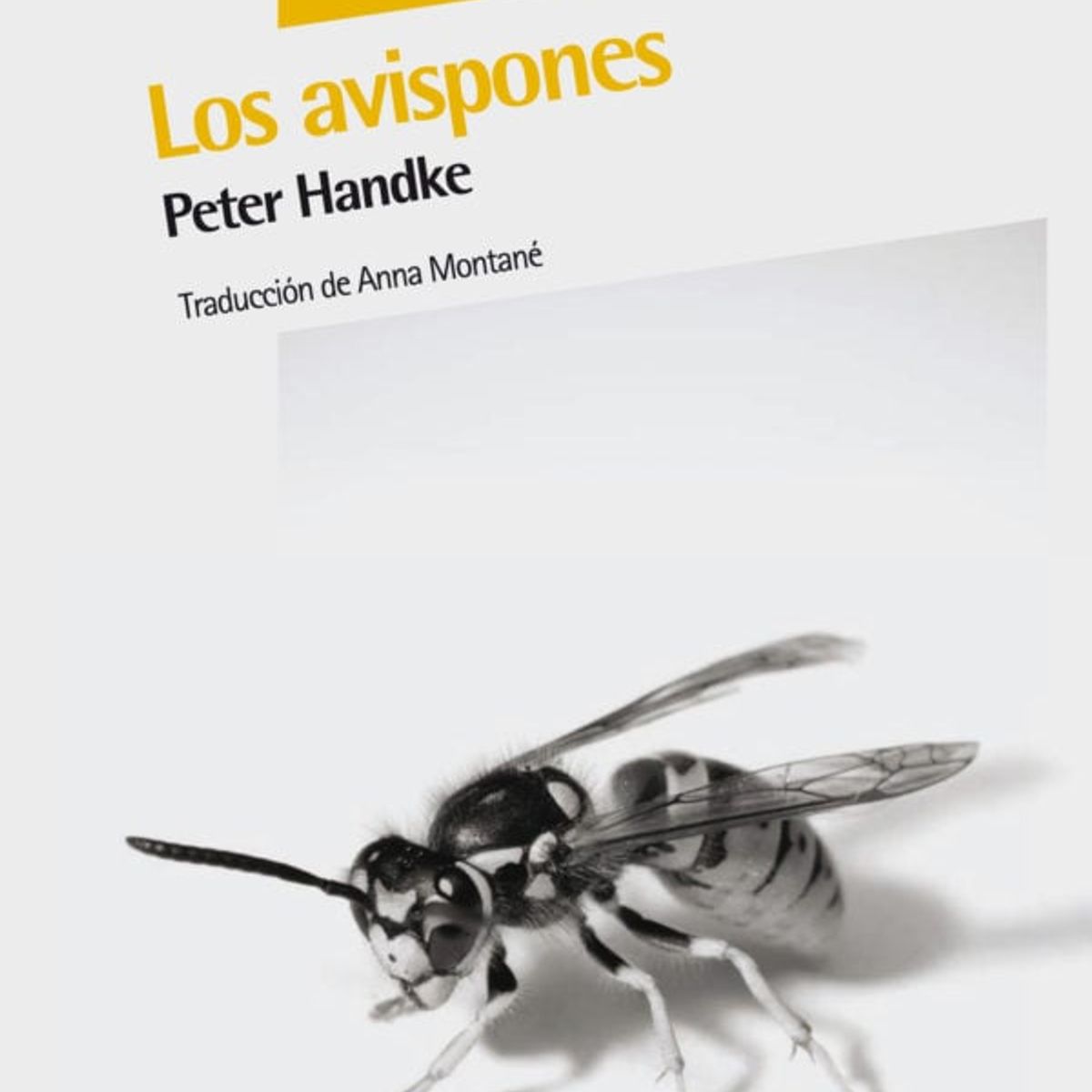 TOP10BOOKS - LIBRO Los Avispones - Los Avispones