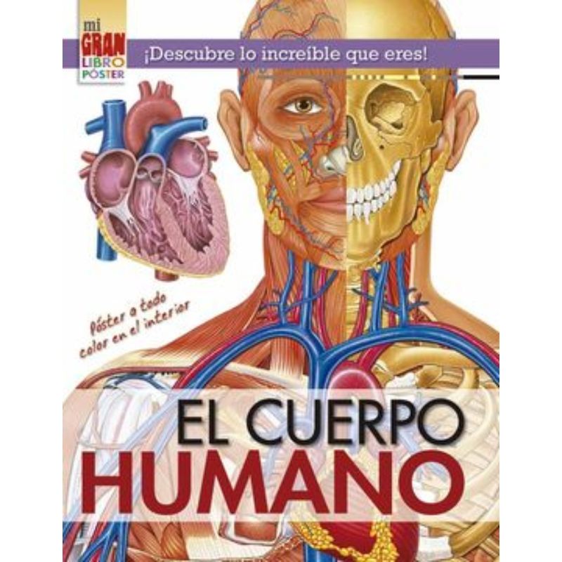 TOP10BOOKS - Libro Mii Gran Libro Poster: Cuerpo Humano -840-