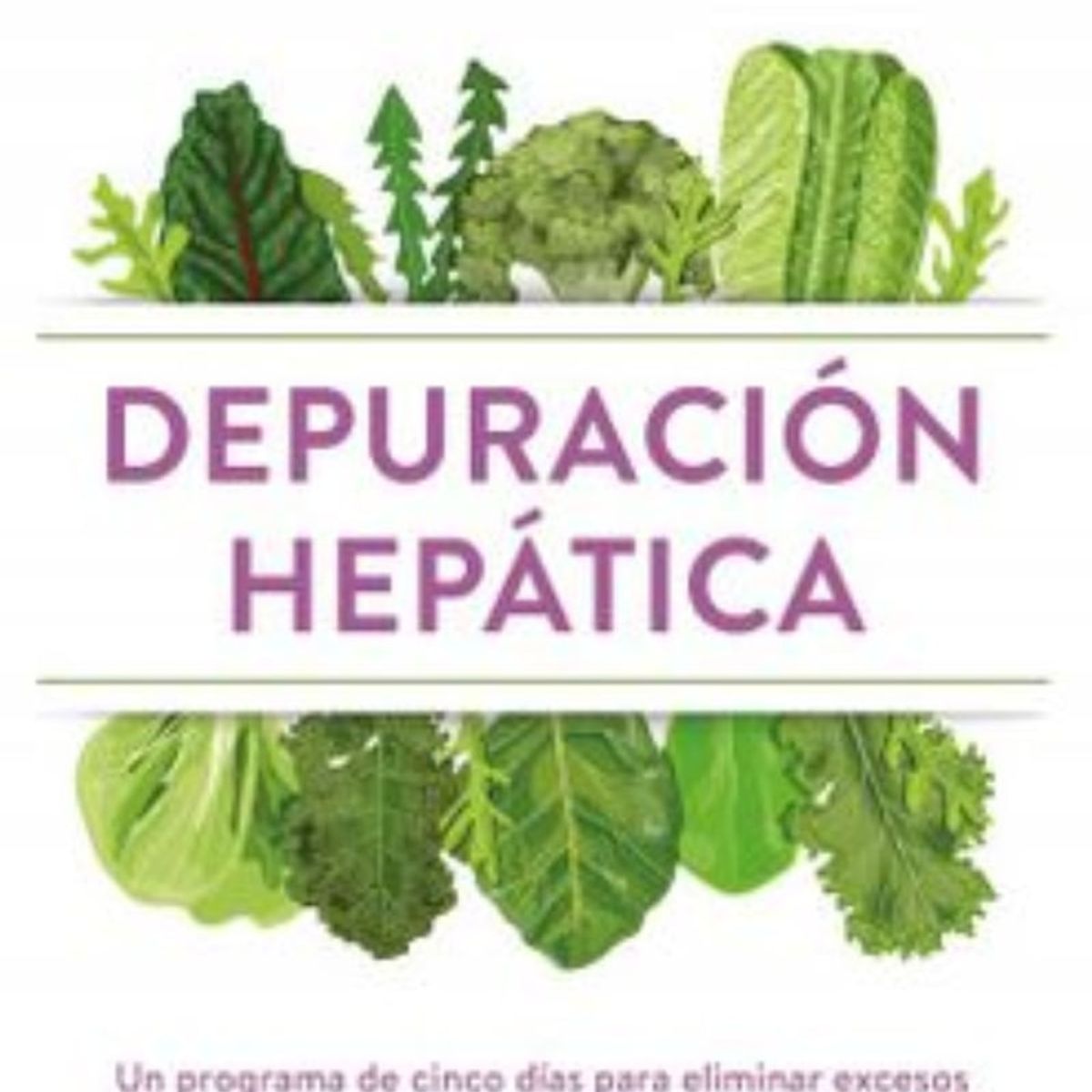 TOP10BOOKS - LIBRO Depuracion Hepatica - Depuracion Hepatica