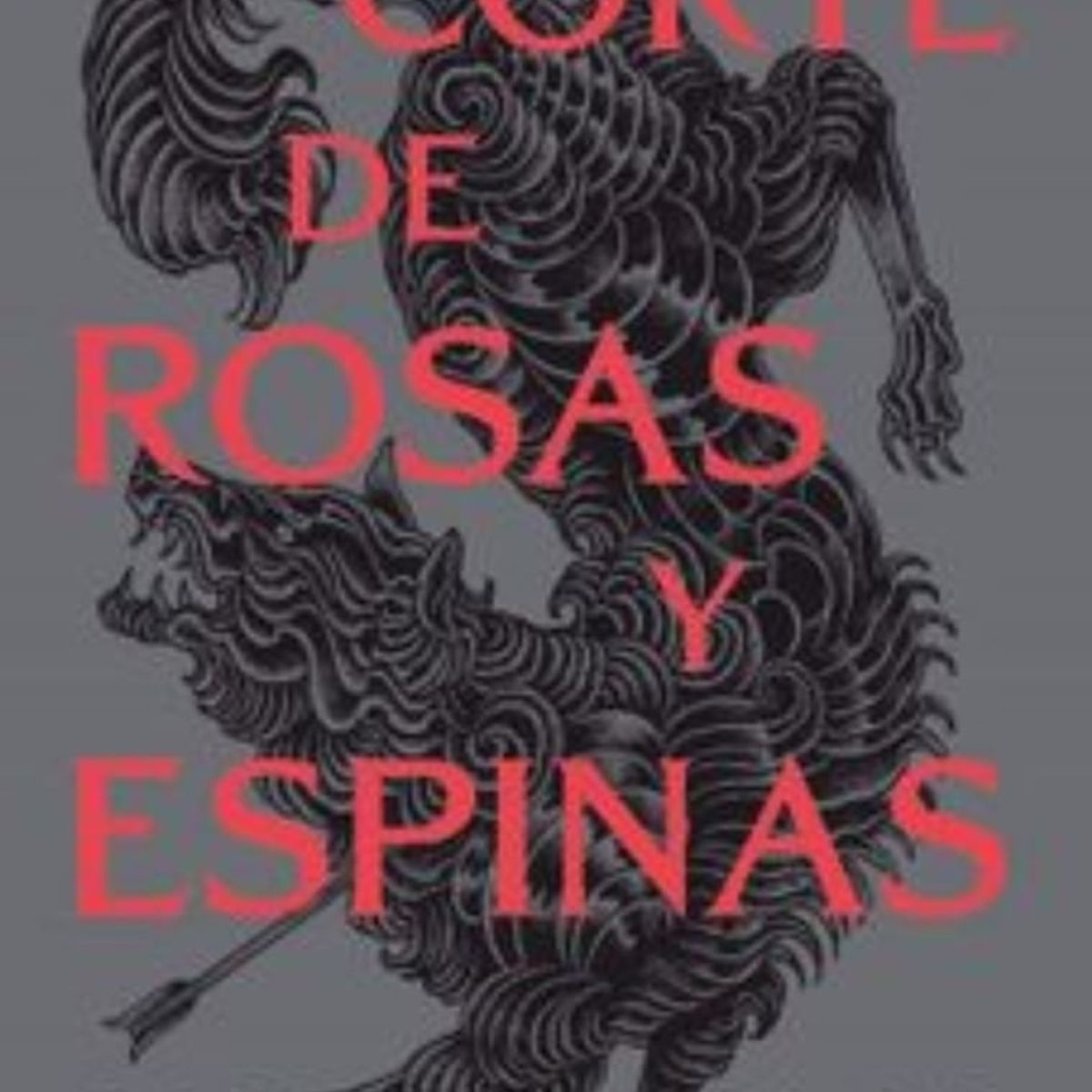 TOP10BOOKS - LIBRO Una Corte De Rosas Y Espinas - Una Corte De Rosas Y Espinas