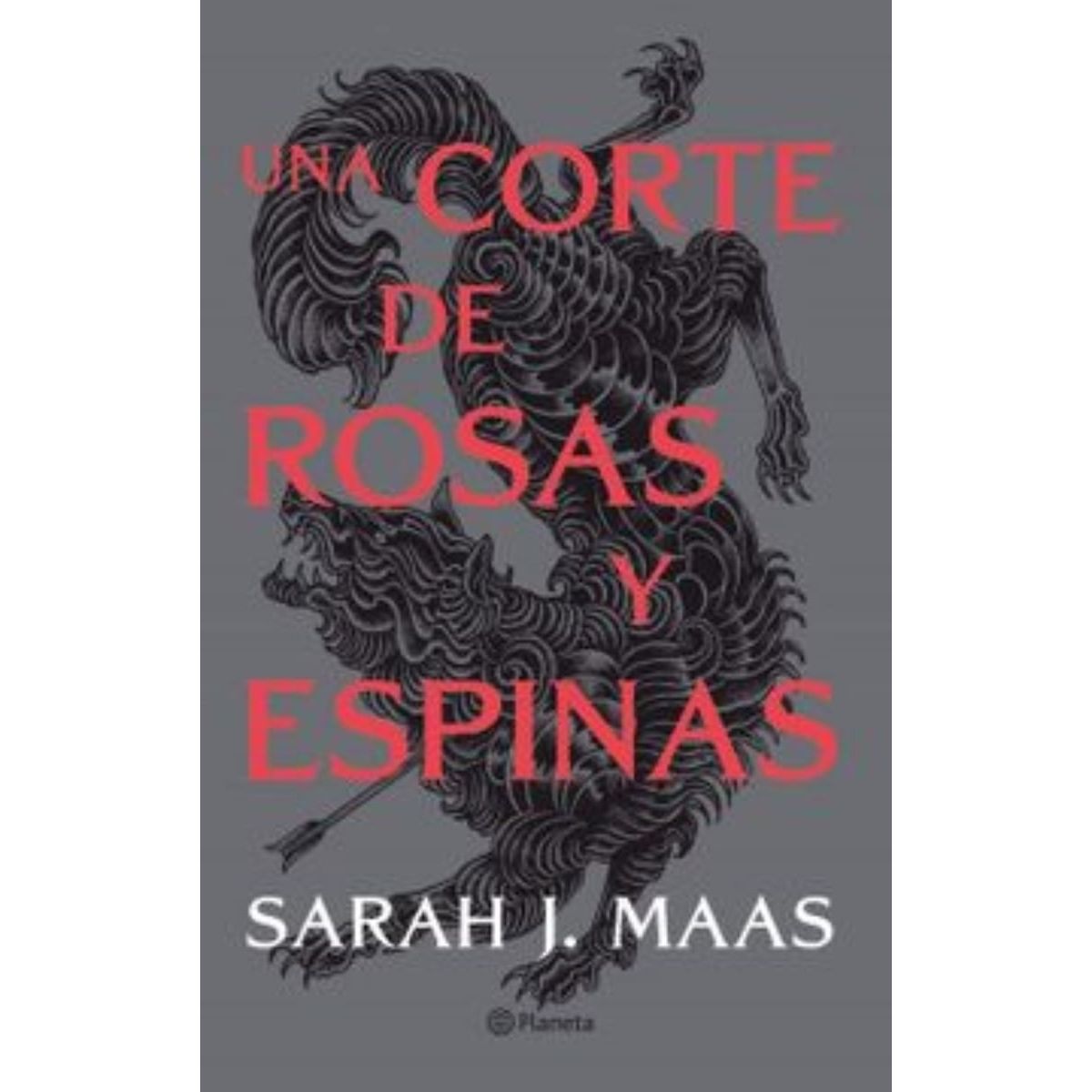 TOP10BOOKS - LIBRO Una Corte De Rosas Y Espinas - Una Corte De Rosas Y Espinas