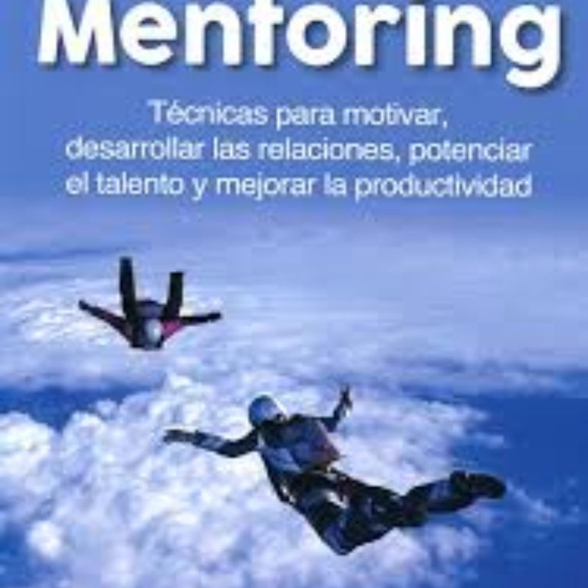 TOP10BOOKS - LIBRO Mentoría - Mentoría