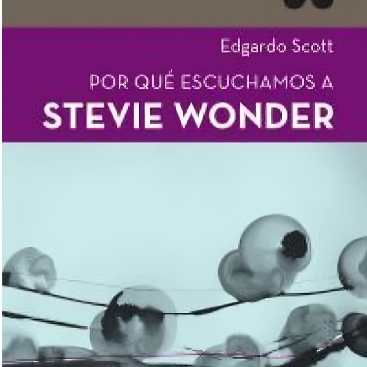TOP10BOOKS - LIBRO Por Que Escuchamos A Stevie Wonder - Por Que Escuchamos A Stevie Wonder